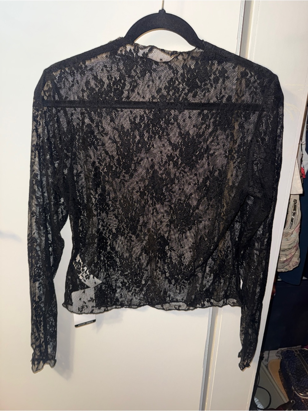 Sheer Black Lace Long Sleeve Top